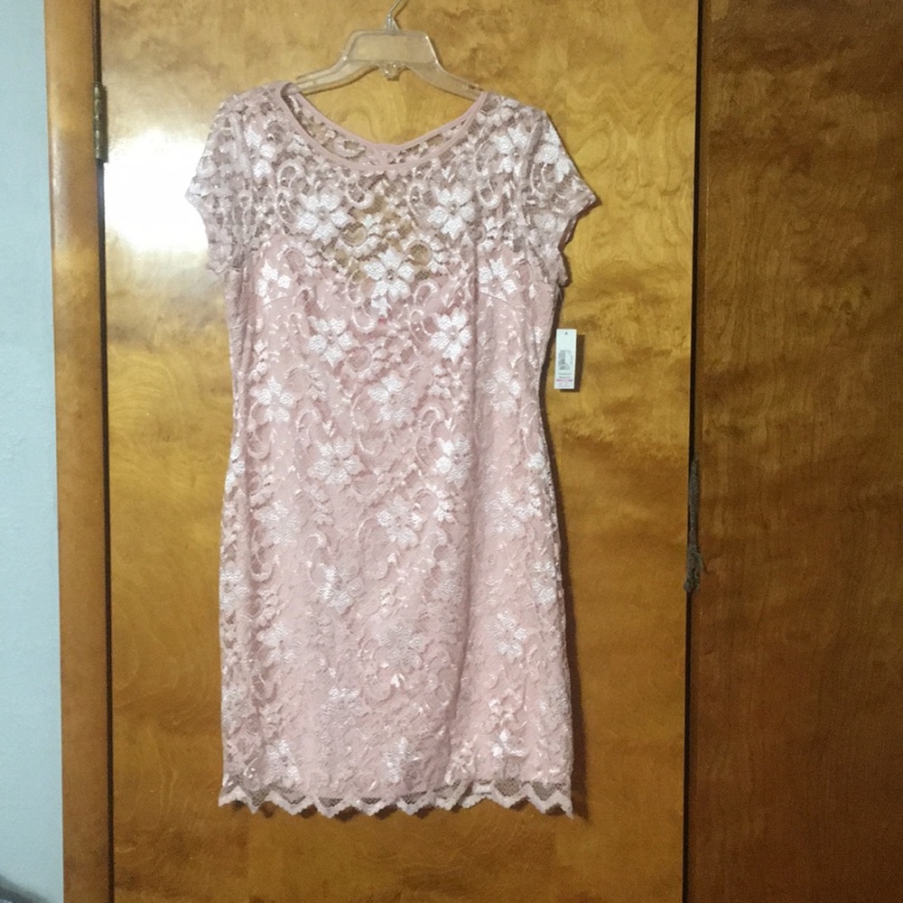 No Boundaries Pale pink Lace Dress XXL(19)